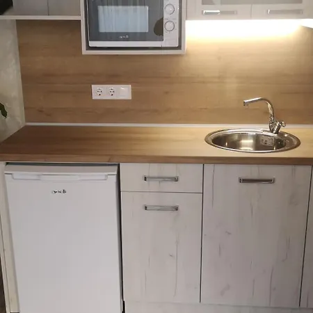 Проживання в сім'ї Vylchev Китен