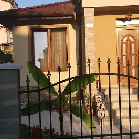 Проживання в сім'ї Vylchev