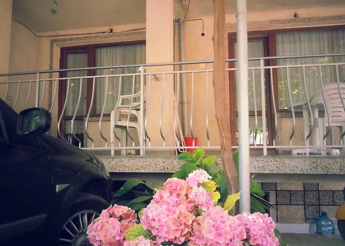 Homestay szállás Vylchev *