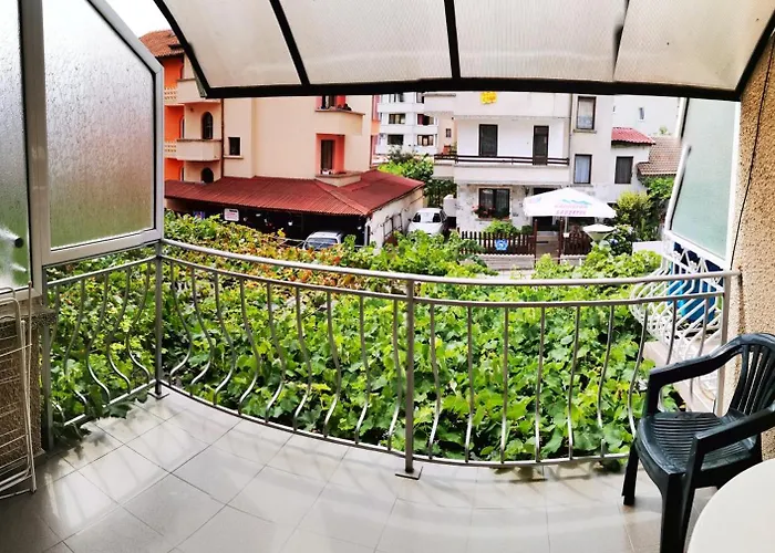 Homestay szállás Vylchev *