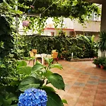 Vylchev Homestay *