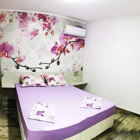 Vylchev Проживание в семье *