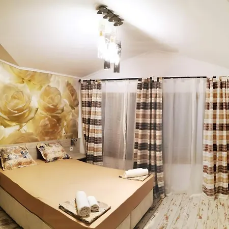 Homestay Vylchev *