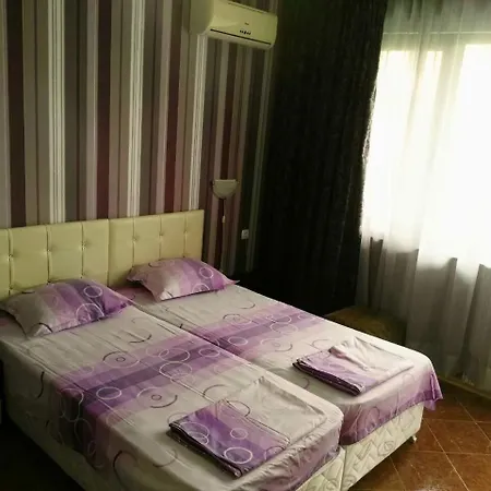 Homestay Vylchev *