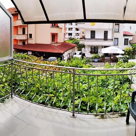 Homestay Vylchev *