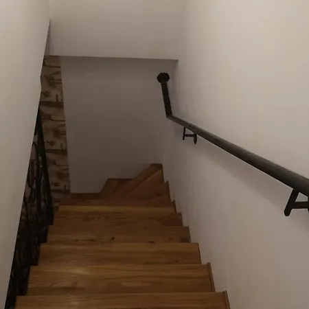 Vylchev Homestay *