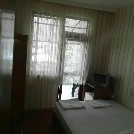 Vylchev Проживание в семье *