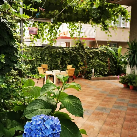 Vylchev Kwatera prywatna Kiten (Burgas)