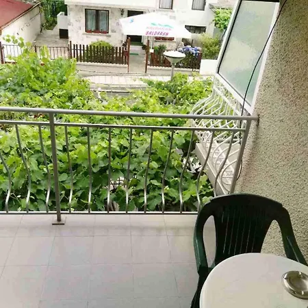 Проживание в семье Vylchev Китен