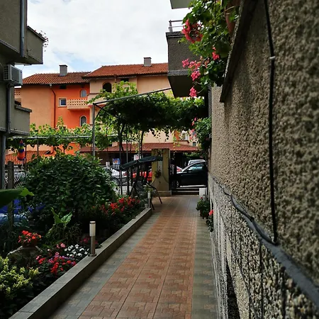 Vylchev Проживание в семье *