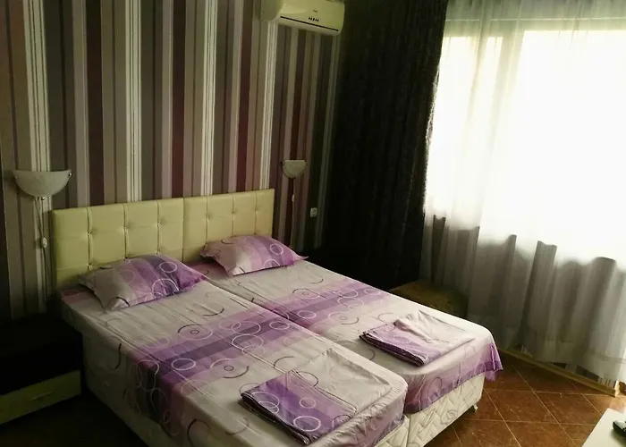 Homestay Vylchev *