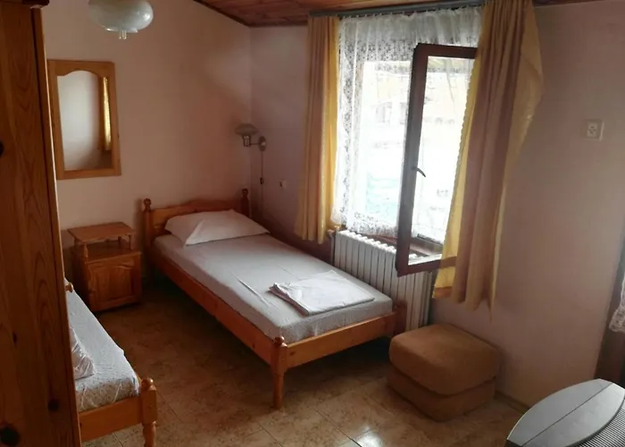 Vylchev Homestay *